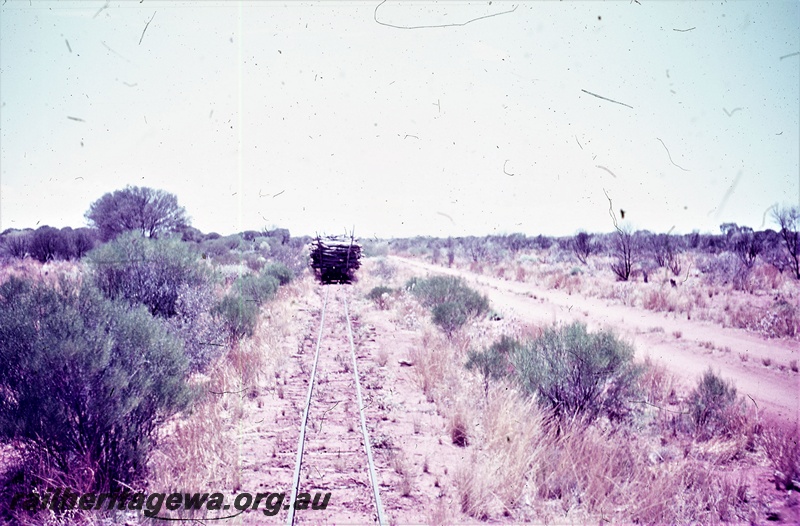 T05587
Sons of Gwalia - view look along the track showing mulga trees on side of track. Rake of wagons in distance.
