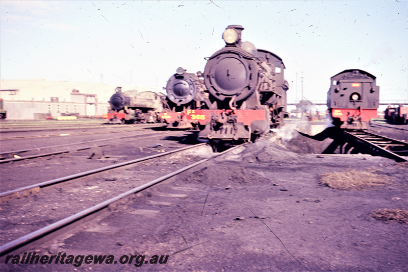 T05631
East Perth locomotive depot - Fs class 365, Dm class 585,V and Pmr locomotives. ER line. 

