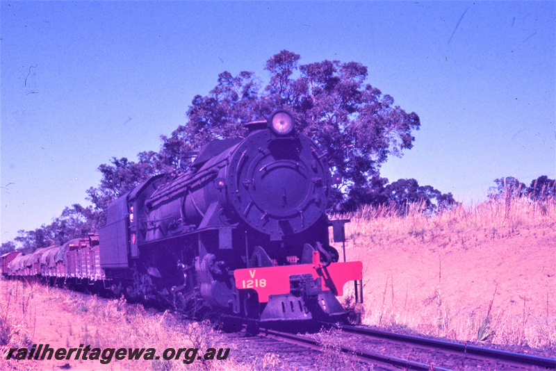 T05633
V class 1218 hauls a goods train near Burekup. SWR line.
