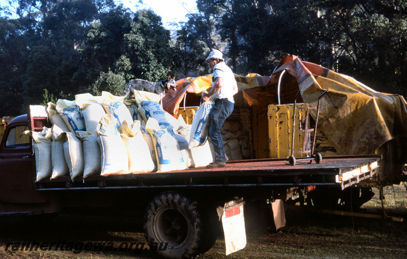 T05665
The final Loading of bags of potatoes from road truck into railway wagon, Manjimup, PP line
