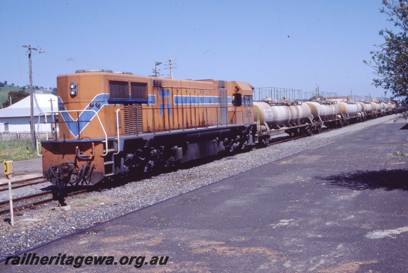 T05796
D class 1564 in the Westrail Orange with blue stripe livery hauling a train of JK class caustic soda tank wagons, front and side view

