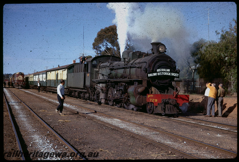 T06063
PMR Class 729, ex-MRWA F Class 46 in background, ARHS tour train, Goomalling, EM line
