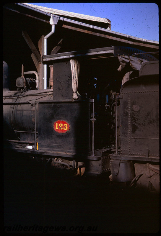 T06385
G Class 123, Bunbury roundhouse, closeup of cabside and number plate
