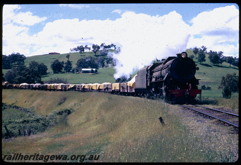 T06586
V Class 1209, goods train, yellow tarps, near Brunswick Junction, BN line
