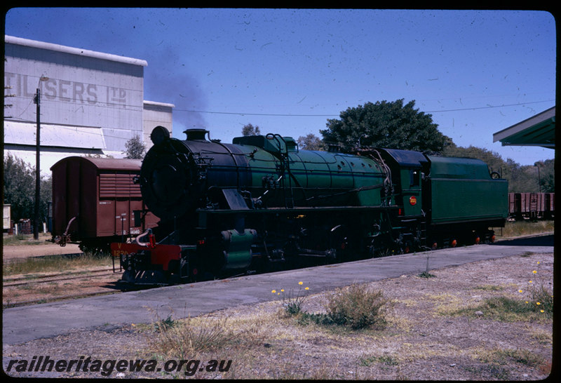 T06611
V Class 1220, light engine, Picton Junction, station platform, FD Class 14140 van, one of three converted with steel louvres and plywood sides, in brown livery, CSBP fertiliser plant, ARHS 75th tour train to Donnybrook, SWR line
