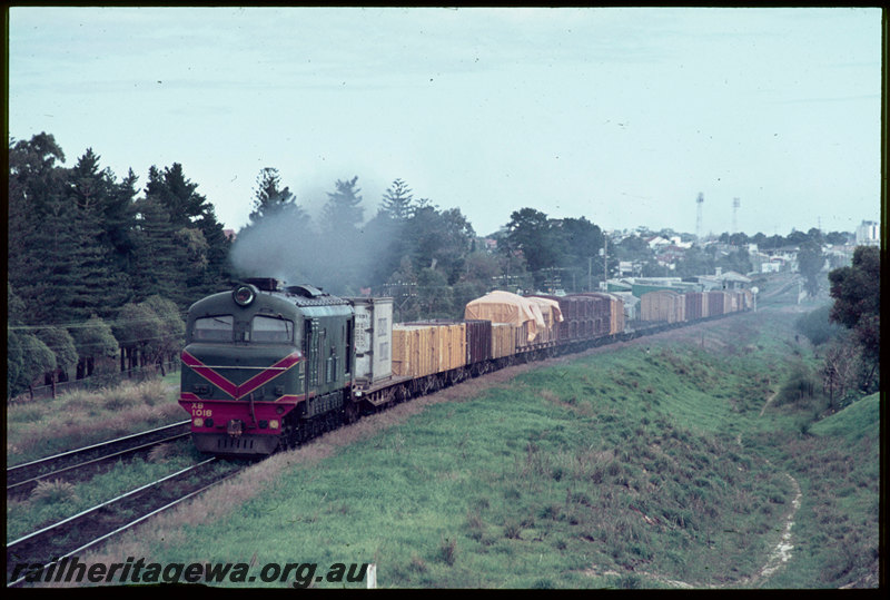 T06836
XB Class 1018, Down goods train, between Karrakatta and Shenton Park, looking towards Karrakatta, ER line
