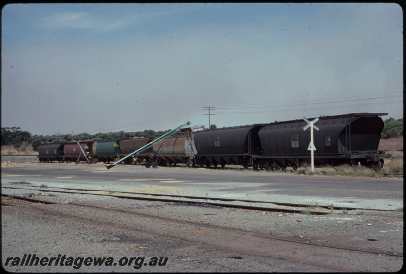 T07697
NSWGR NGTY Class grain wagons, ANR AHGX Class grain wagons, VR VHGY Class grain wagon, Avon Yard, ER line
