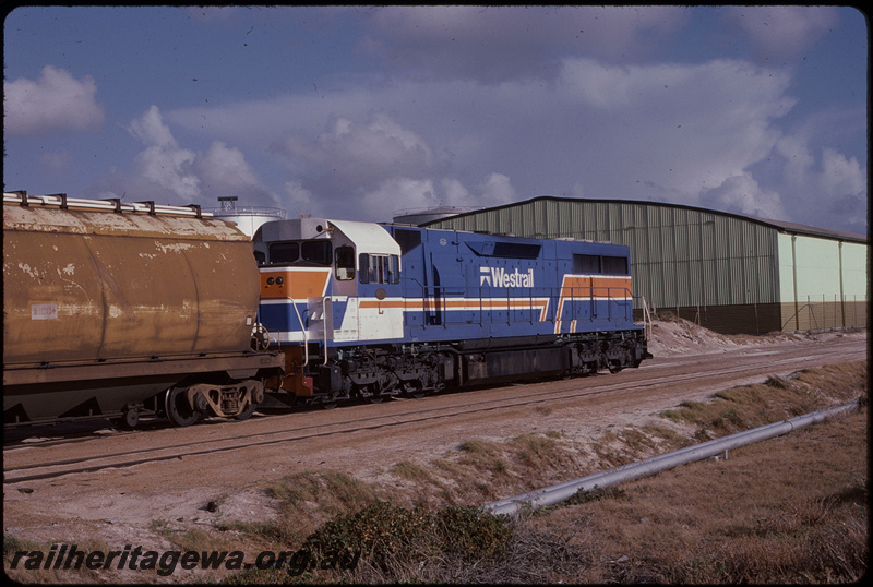 T08032
L Class 268, experimental livery, loaded grain train, North Fremantle
