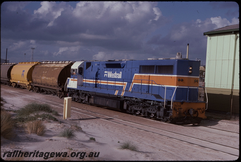 T08033
L Class 268, experimental livery, loaded grain train, North Fremantle
