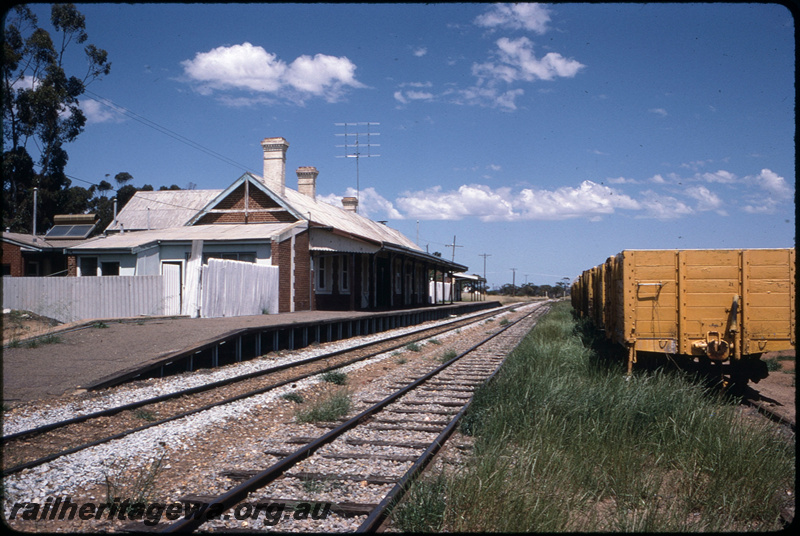 T08528
Watheroo station yard, station building, platform, stabled GEF Class fertiliser wagons, MR line
