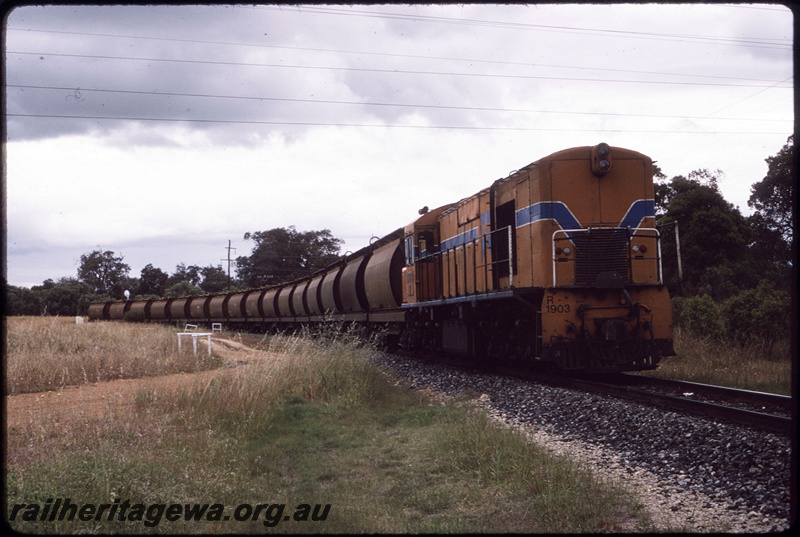 T08550
R Class 1903, XE Class mineral sands wagons, stabled on loop at Boyanup Bypass loop, Picton, PP line
